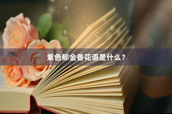 紫色郁金香花语是什么？